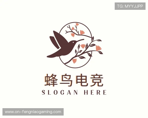 关于蜂鸟电竞公司